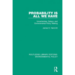 Probability is All We Have: Uncertainties, Delays, and Environmental Policy Making