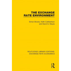 The Exchange Rate Environment
