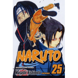 Naruto, Vol. 25: Brothers