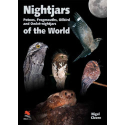 Nightjars, Potoos, Frogmouths, Oilbird, and Owlet–nightjars of the World