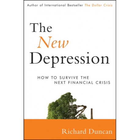 The New Depression: The Breakdown of the Paper Money Economy