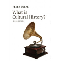 What is Cultural History?