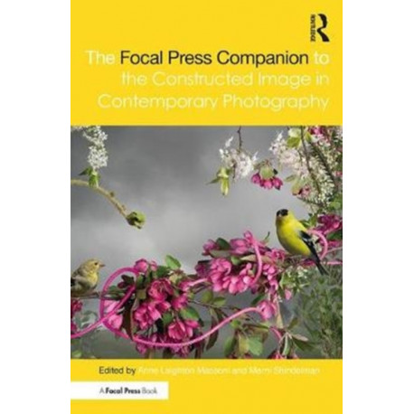 The Focal Press Companion to the Constructed Image in Contemporary Photography