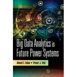 Big Data Analytics in Future Power Systems