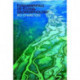 Fundamentals of Fluvial Geomorphology