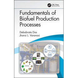 Fundamentals of Biofuel Production Processes