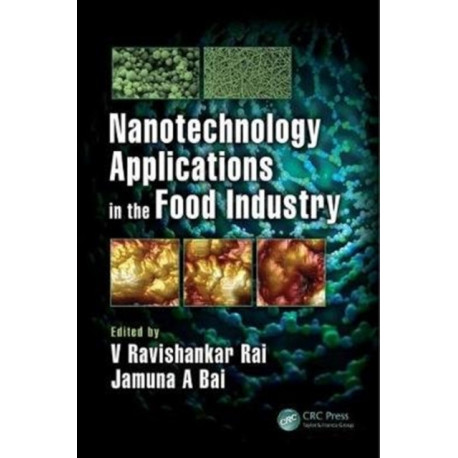 Nanotechnology Applications in the Food Industry