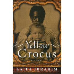 Yellow Crocus