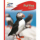 Reading Planet - Puffins - Red A: Rocket Phonics
