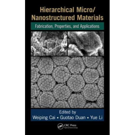 Hierarchical Micro/Nanostructured Materials: Fabrication, Properties, and Applications