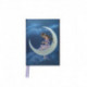 Jean & Ron Henry: Moon Maiden (Foiled Pocket Journal)