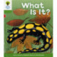 Oxford Reading Tree: Level 2: More Patterned Stories A: What Is It?