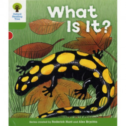 Oxford Reading Tree: Level 2: More Patterned Stories A: What Is It?