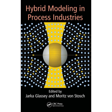 Hybrid Modeling in Process Industries