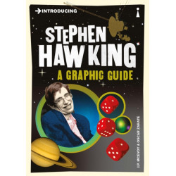 Introducing Stephen Hawking: A Graphic Guide