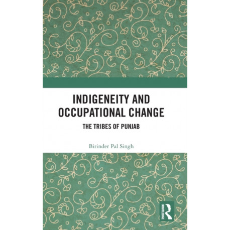 Indigeneity and Occupational Change: The Tribes of Punjab