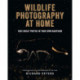 Wildlife Photography at Home