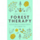 Forest Therapy: Seasonal Ways to Embrace Nature for a Happier You