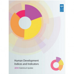 Human Development Indices and Indicators: 2018 Statistical Update: 2018 statistical update