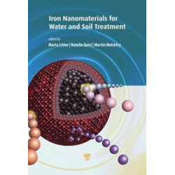 Iron Nanomaterials for Water and Soil Treatment
