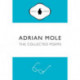 Adrian Mole: The Collected Poems