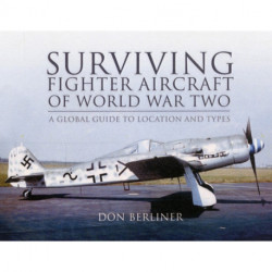 Surviving Fighter Aircraft WW2