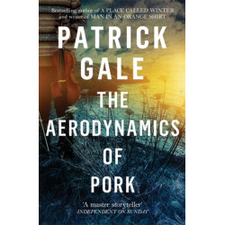 The Aerodynamics of Pork: A delicious debut novel of love, music and comedy, set in the early 1980s