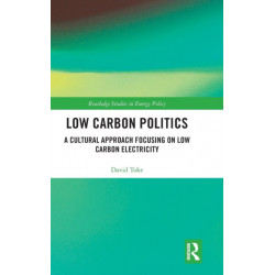 Low Carbon Politics: A Cultural Approach Focusing on Low Carbon Electricity