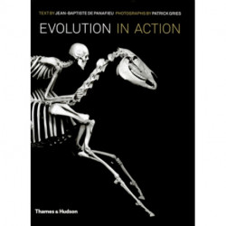 Evolution in Action: Natural History through Spectacular Skeletons