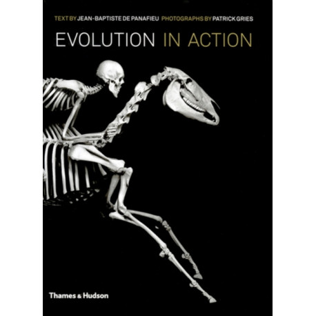 Evolution in Action: Natural History through Spectacular Skeletons