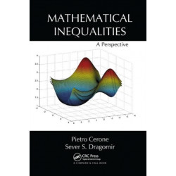 Mathematical Inequalities: A Perspective