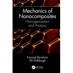Mechanics of Nanocomposites: Homogenization and Analysis