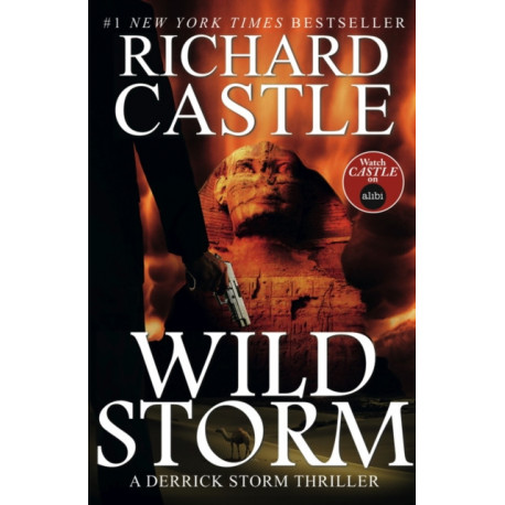 Wild Storm: A Derrick Storm Novel