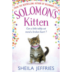 Solomon's Kitten