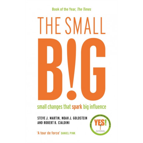 The small BIG: Small Changes that Spark Big Influence