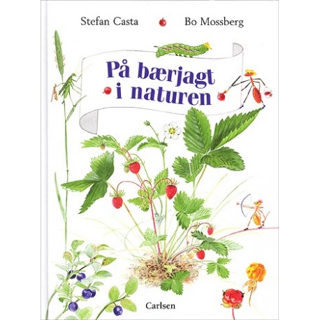 På bærjagt i naturen
