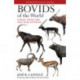 Bovids of the World: Antelopes, Gazelles, Cattle, Goats, Sheep, and Relatives