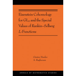 Eisenstein Cohomology for GLN and the Special Values of Rankin–Selberg L-Functions: (AMS-203)
