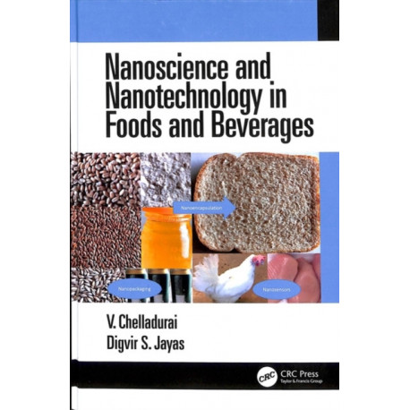 Nanoscience and Nanotechnology in Foods and Beverages