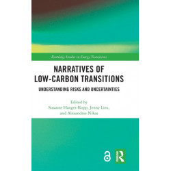 Narratives of Low-Carbon Transitions: Understanding Risks and Uncertainties