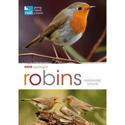 RSPB Spotlight: Robins