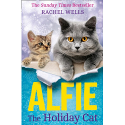 Alfie the Holiday Cat