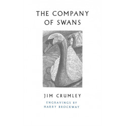 The Company of Swans