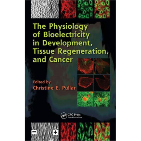 The Physiology of Bioelectricity in Development, Tissue Regeneration and Cancer