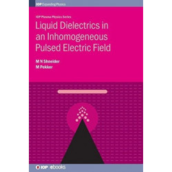 Liquid Dielectrics in an Inhomogeneous Pulsed Electric Field