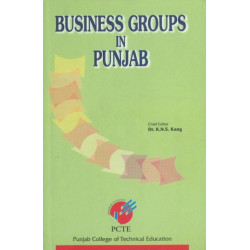 Business Groups in Punjab