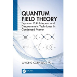 Quantum Field Theory: Feynman Path Integrals and Diagrammatic Techniques in Condensed Matter