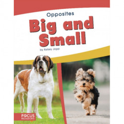 Big and Small