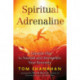 Spiritual Adrenaline: A Lifestyle to Nourish and Stengthen Your Recovery