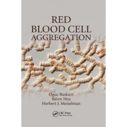 Red Blood Cell Aggregation